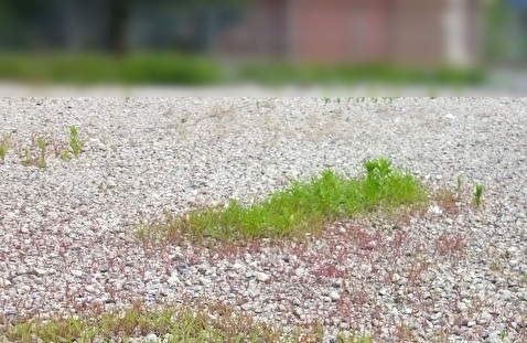 解体工事後の更地